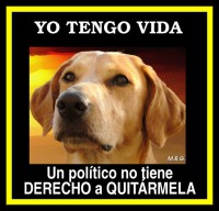 /album/imagenes-con-fraces6/a7-jpg/