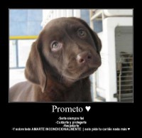 /album/imagenes-con-fraces6/a00-jpg/