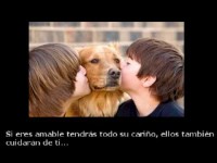 /album/imagenes-con-fraces6/a0-jpg/